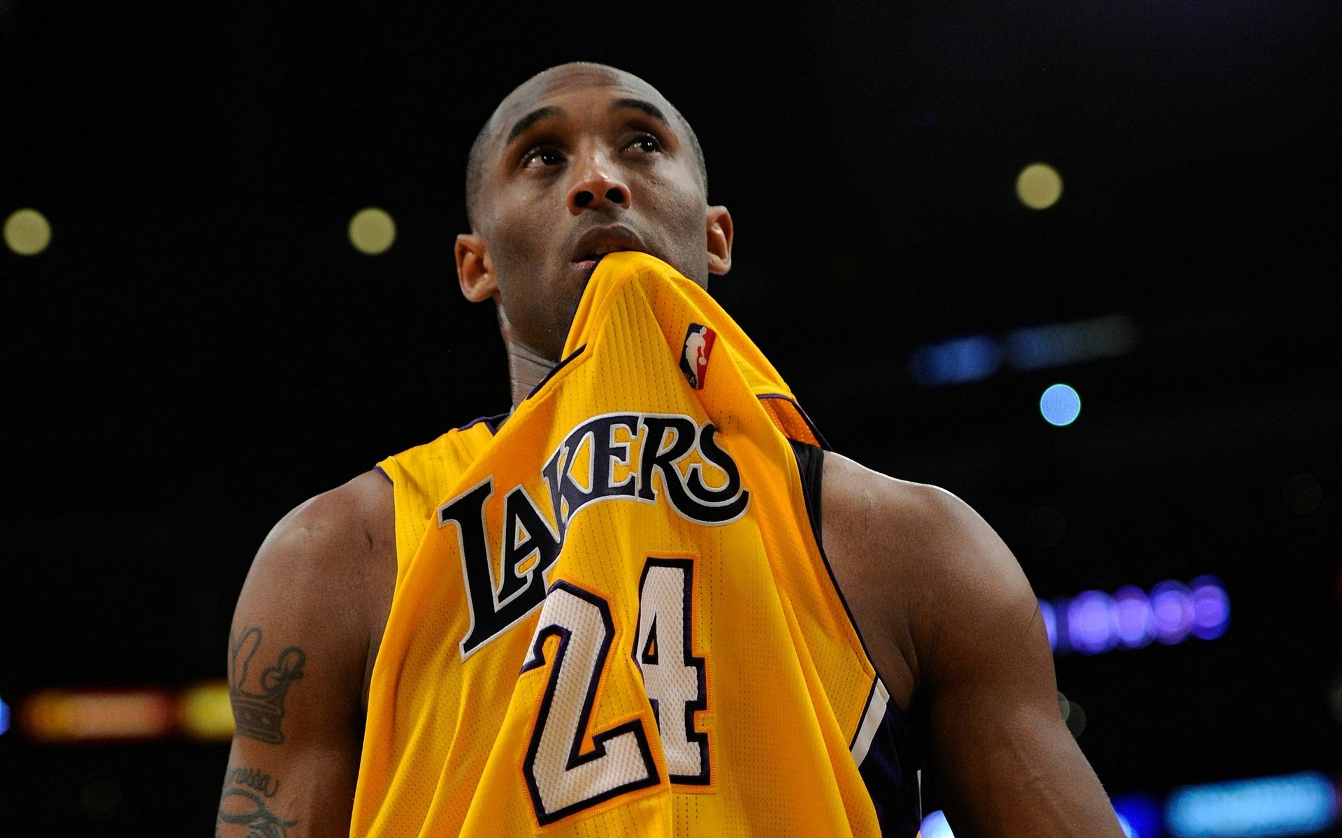 就能在开拓 就能在开拓